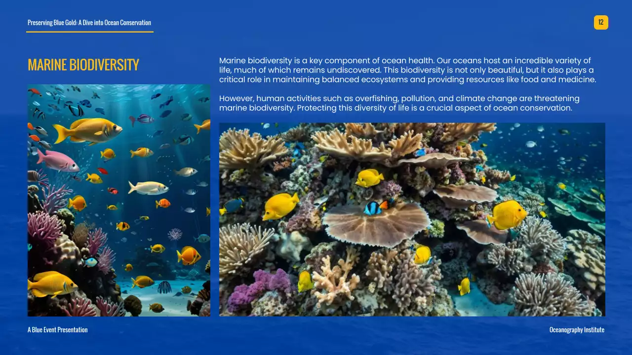 Blue Professional Ocean Guide Presentation