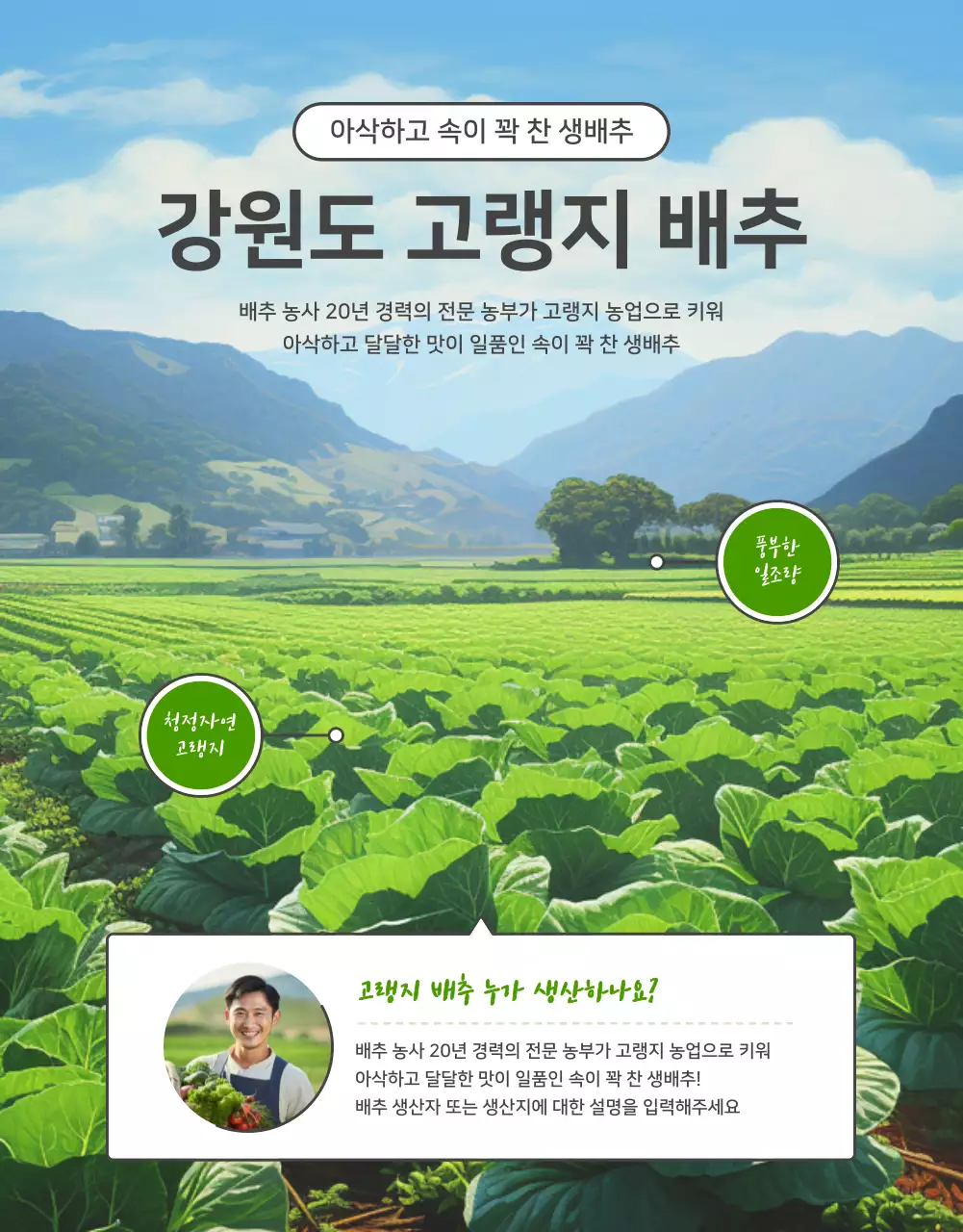 초록색과 연두색의 기본적인 배추 판매 홍보