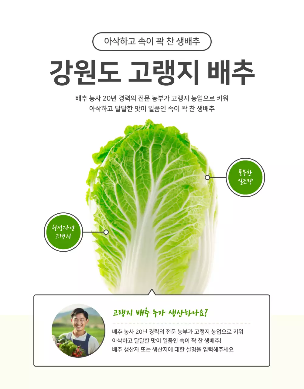 초록색과 연두색의 기본적인 배추 판매 홍보