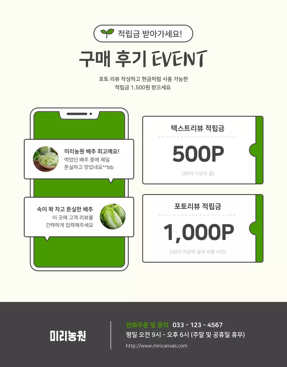 초록색과 연두색의 기본적인 배추 판매 홍보