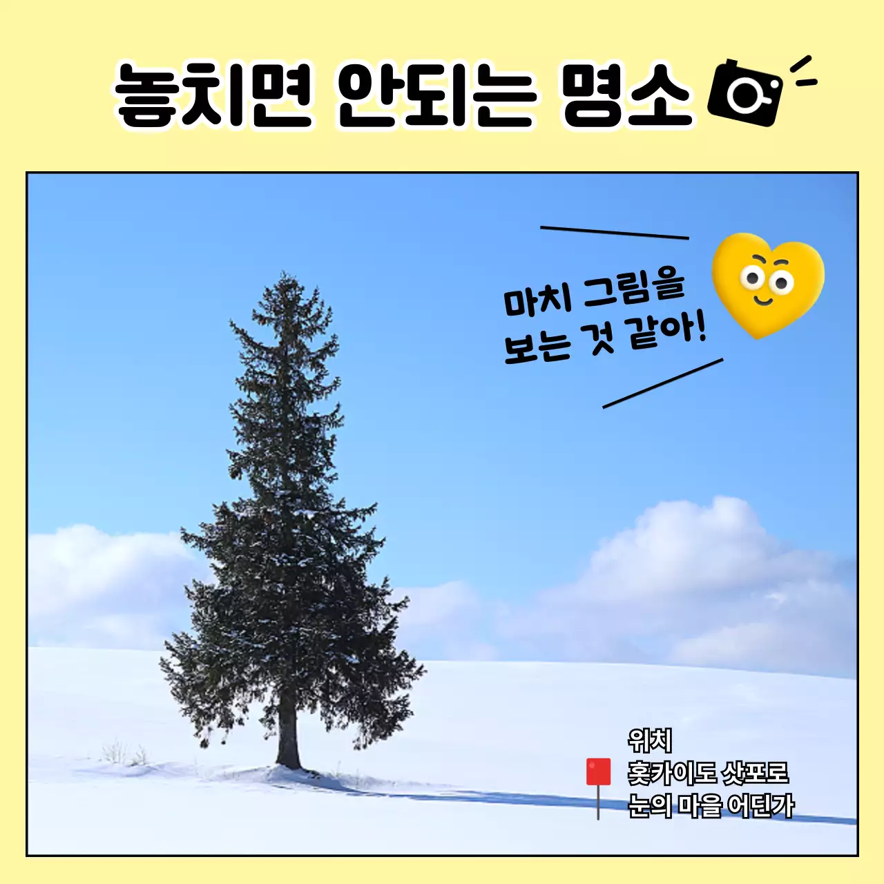 노랑과 하늘색의 아기자기한 해외 여행 정보