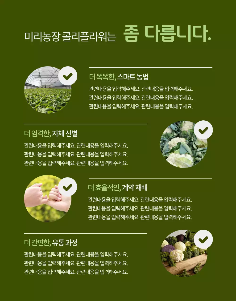 연두색 수채화 느낌을 강조한 콜리플라워 농장 상품 설명