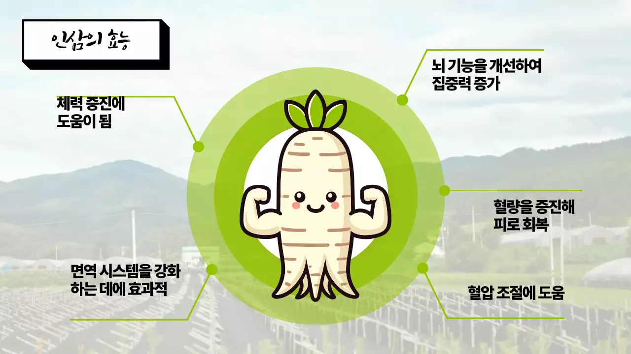 초록색의 복고풍의 인삼축제 소개서