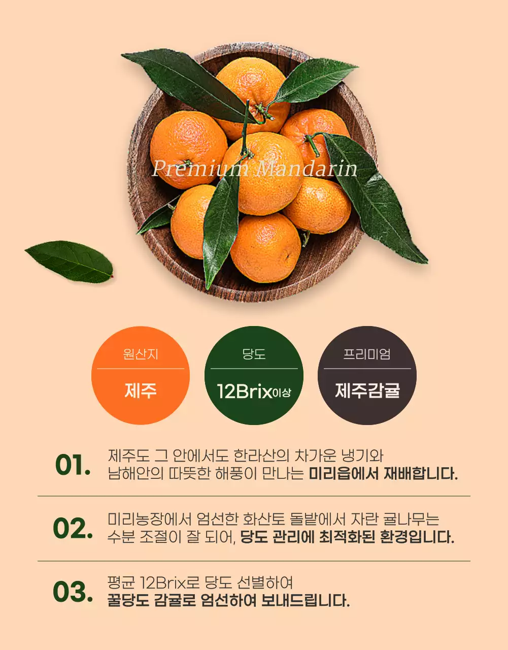 초록색의 모던한 귤 홍보