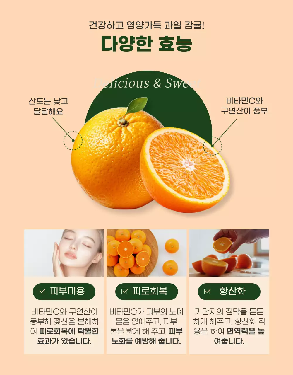 초록색의 모던한 귤 홍보