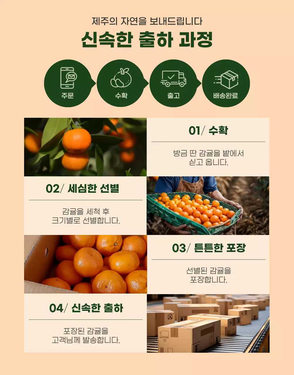 초록색의 모던한 귤 홍보