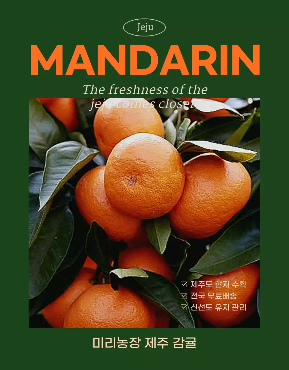 초록색의 모던한 귤 홍보
