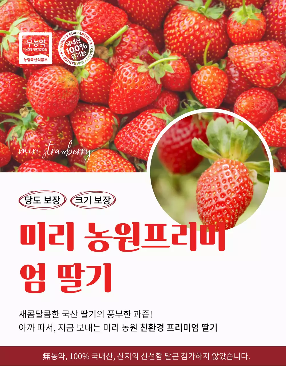 빨강 배경의 심플한 딸기 판매 홍보를 위한 소개서