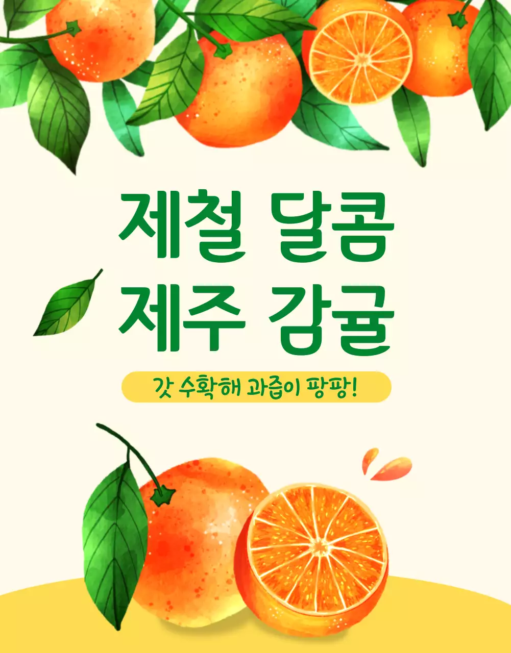 주황과 노랑의 아기자기한 감귤 홍보