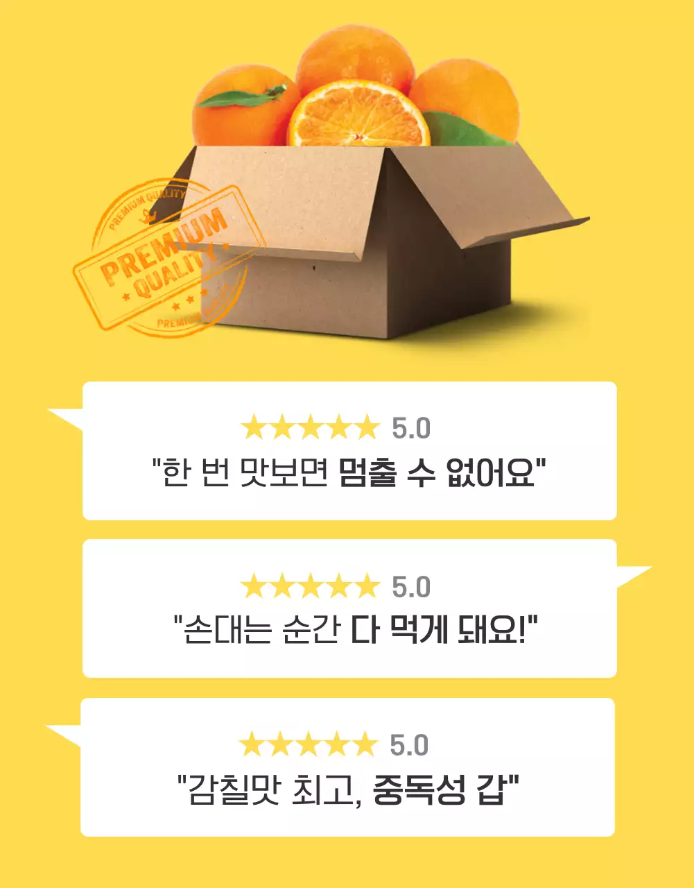 주황과 노랑의 아기자기한 감귤 홍보