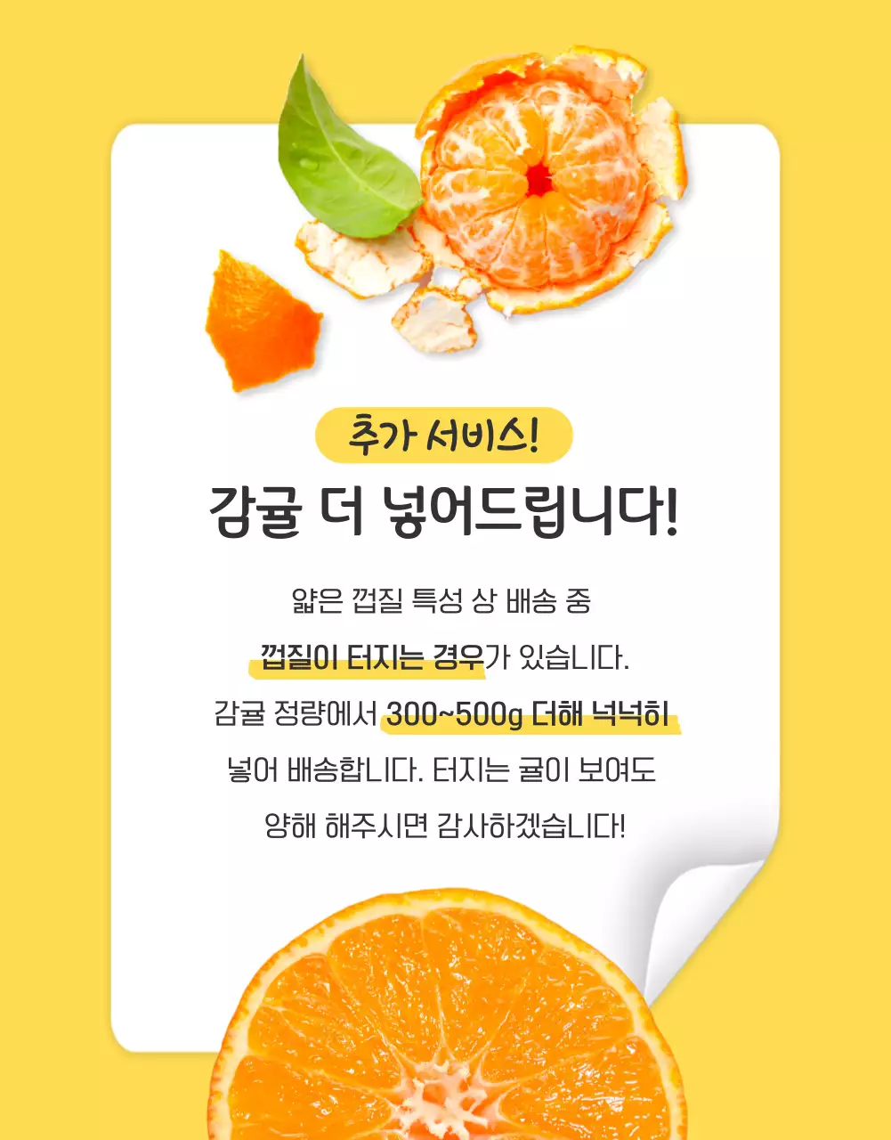 주황과 노랑의 아기자기한 감귤 홍보