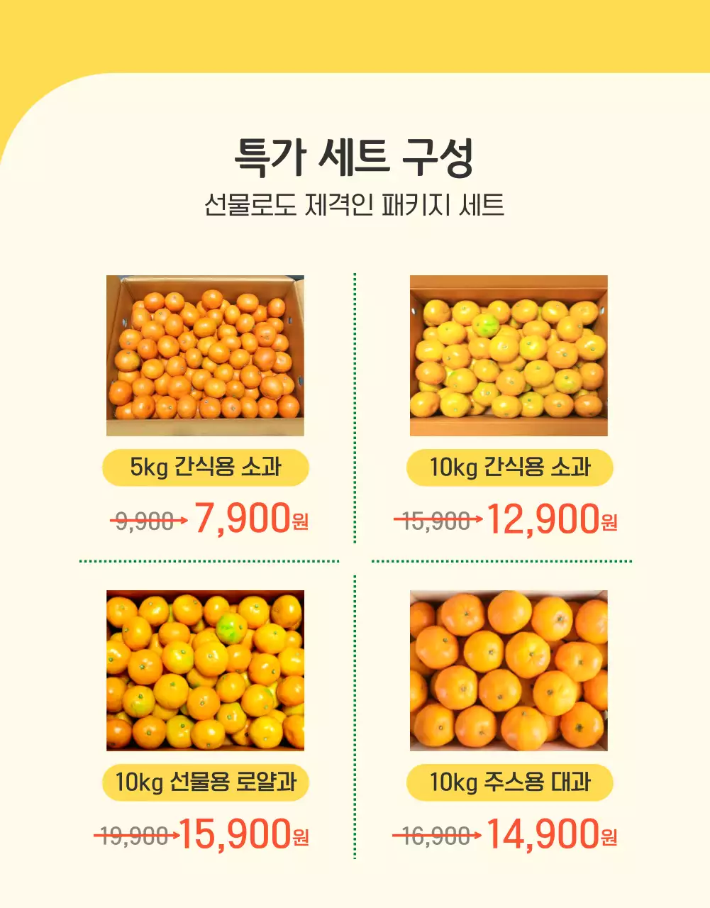 주황과 노랑의 아기자기한 감귤 홍보