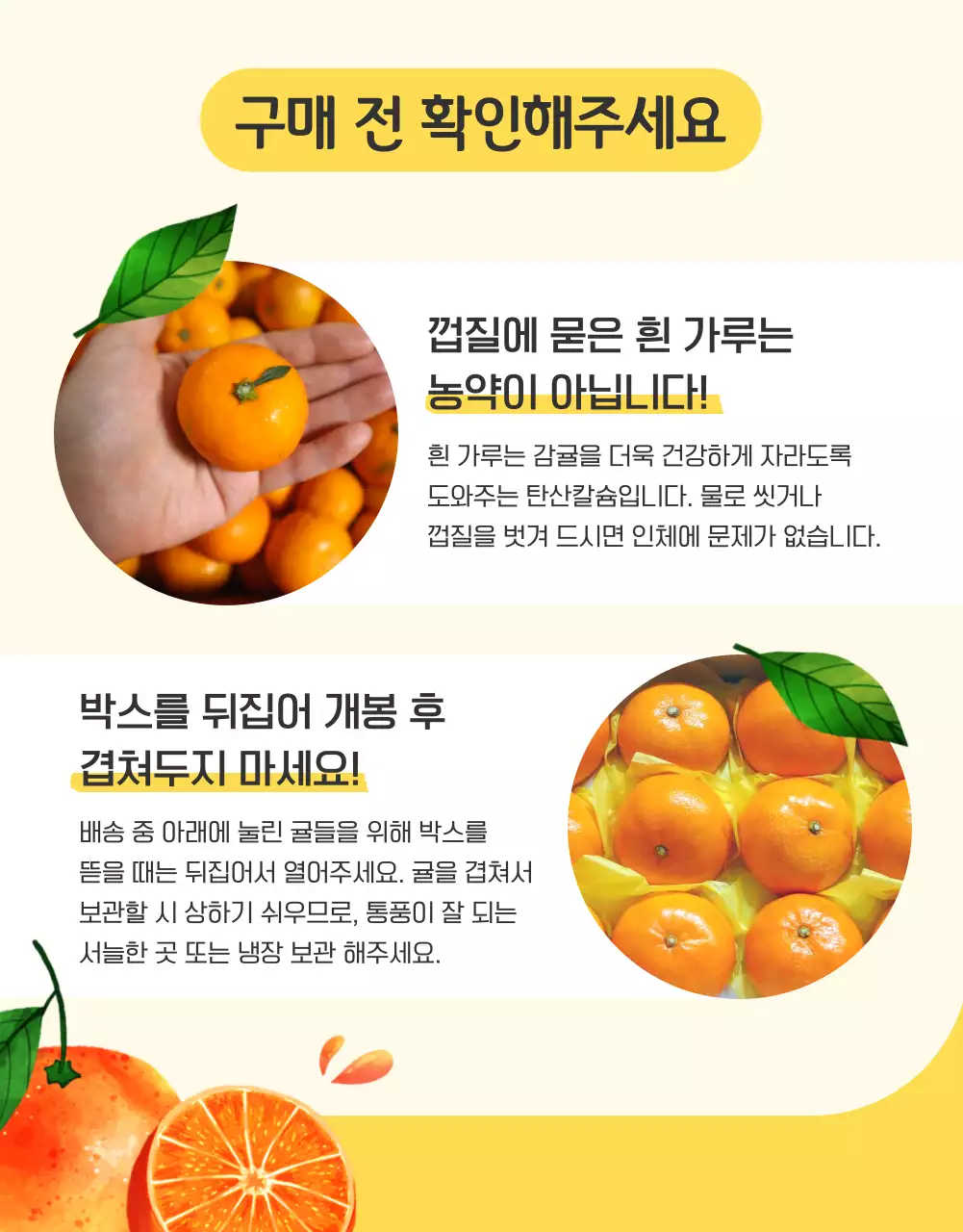 주황과 노랑의 아기자기한 감귤 홍보