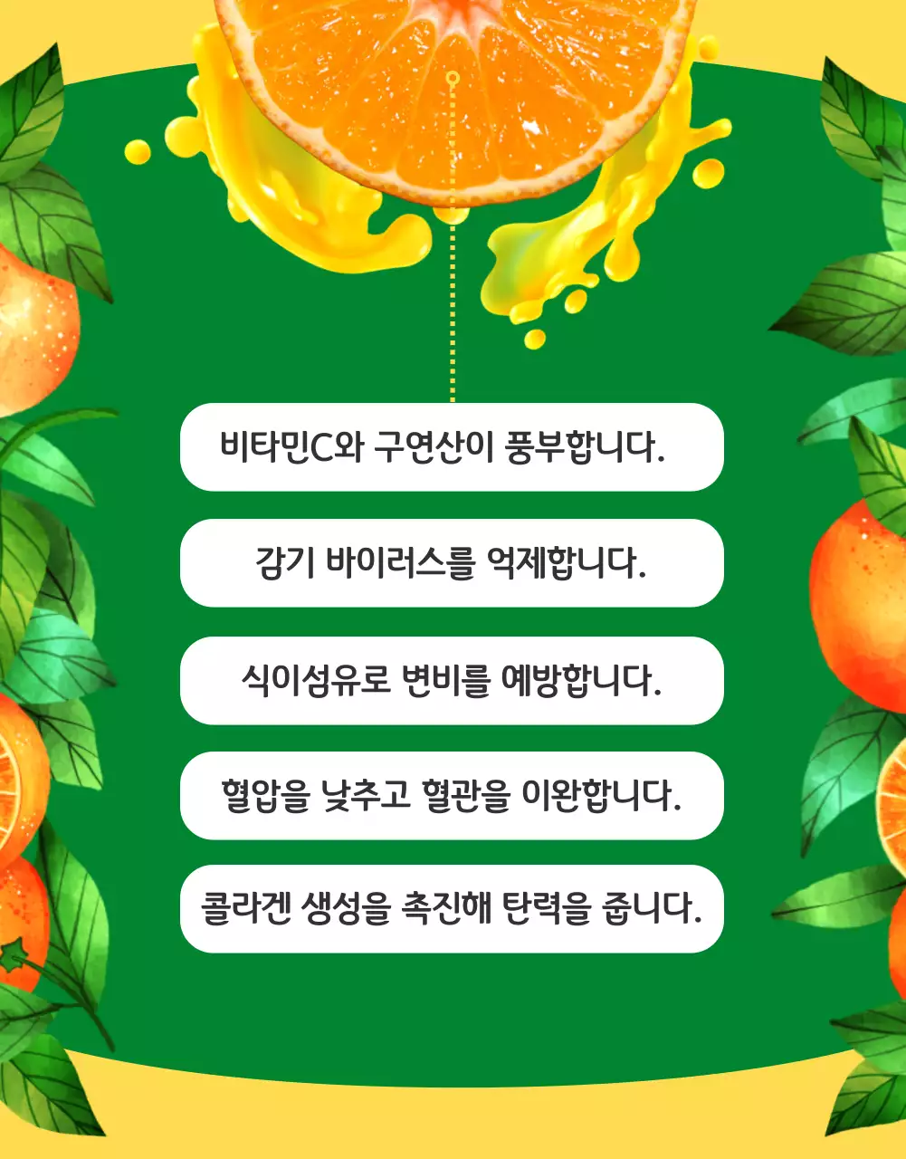 주황과 노랑의 아기자기한 감귤 홍보