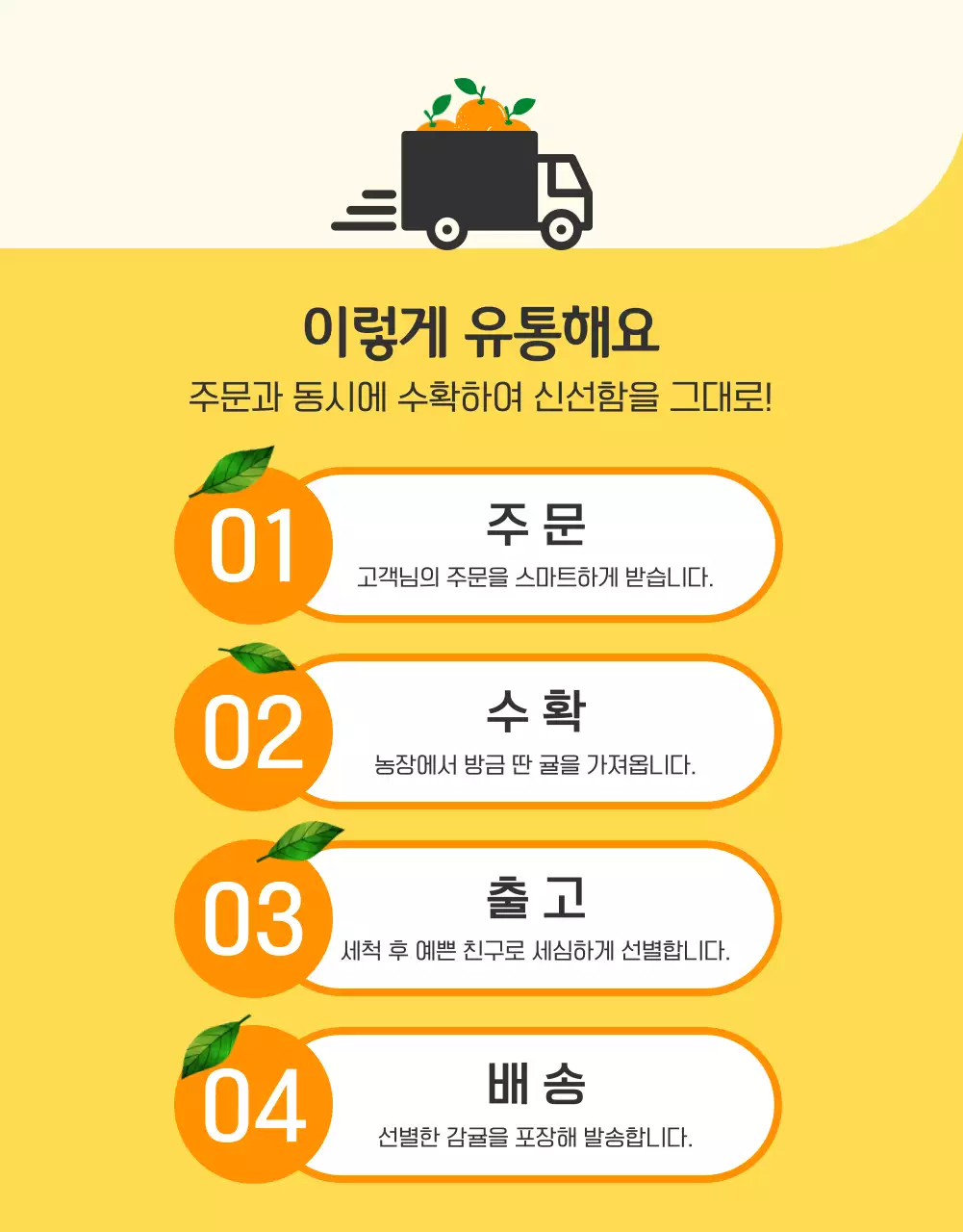 주황과 노랑의 아기자기한 감귤 홍보