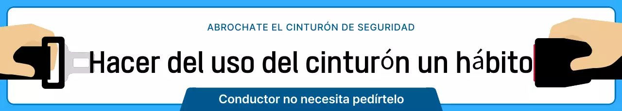 Guía sencilla para el cinturón de seguridad del coche en azul y azul marino
