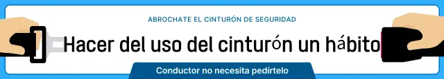 Guía sencilla para el cinturón de seguridad del coche en azul y azul marino