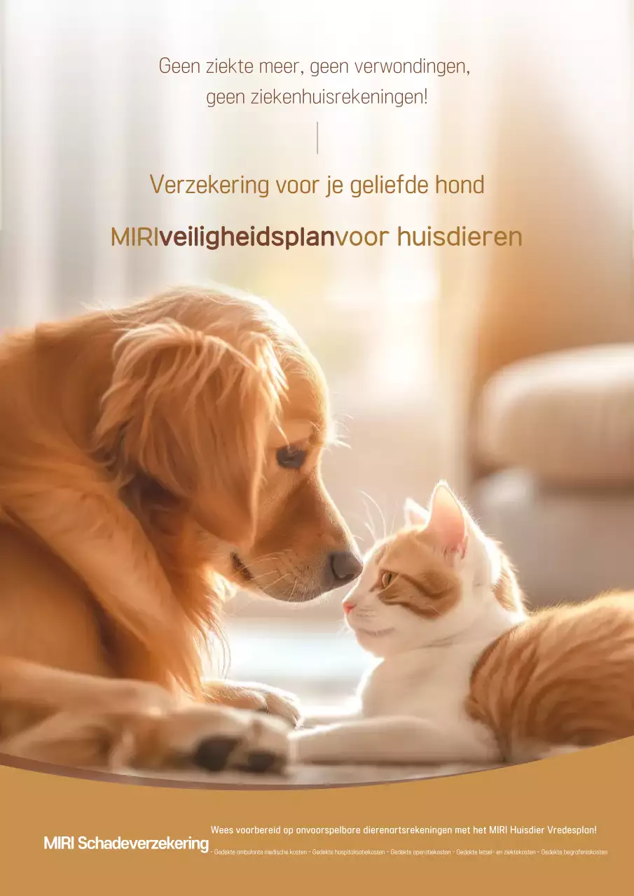 Advertentie voor Brown Warm Pet Insurance