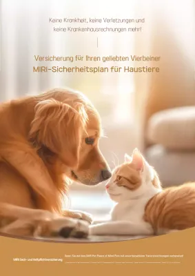 Anzeige der Brown Warm Pet Insurance