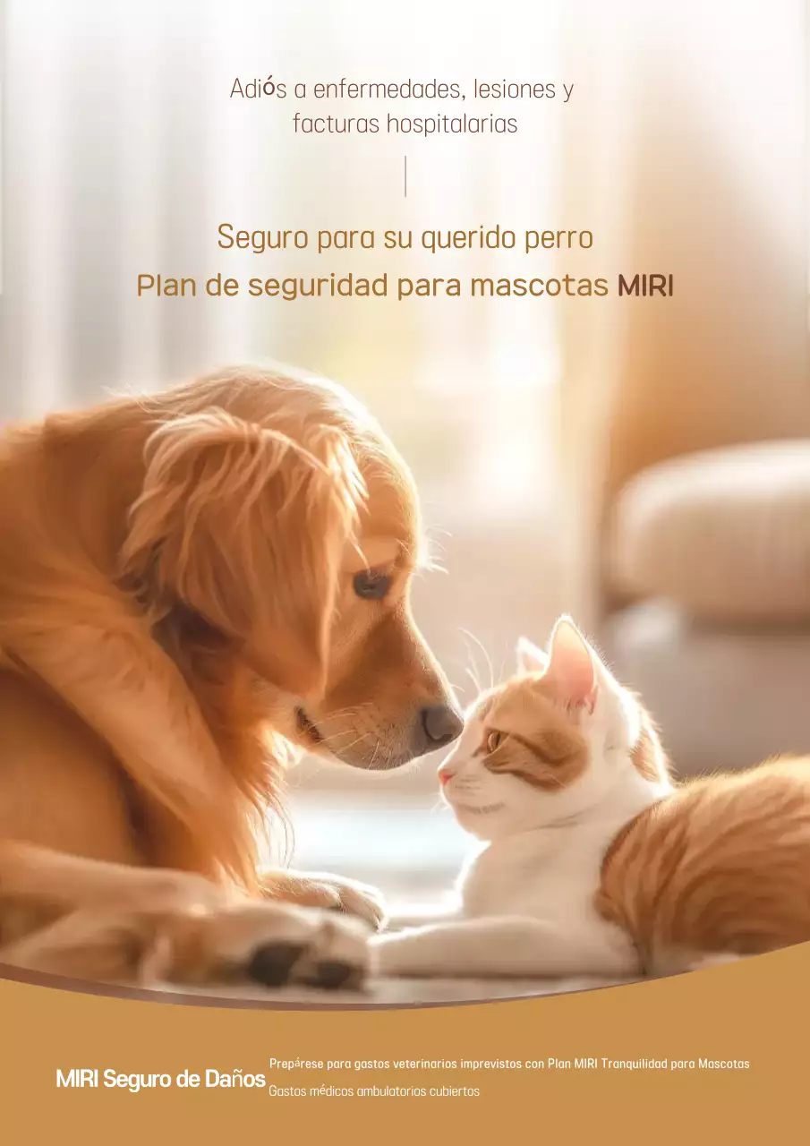 Anuncio de seguro para mascotas de Brown Warm