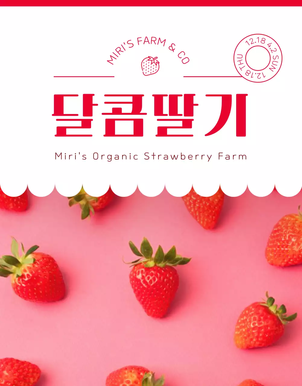 빨강과 핑크색의 아기자기한 딸기 홍보
