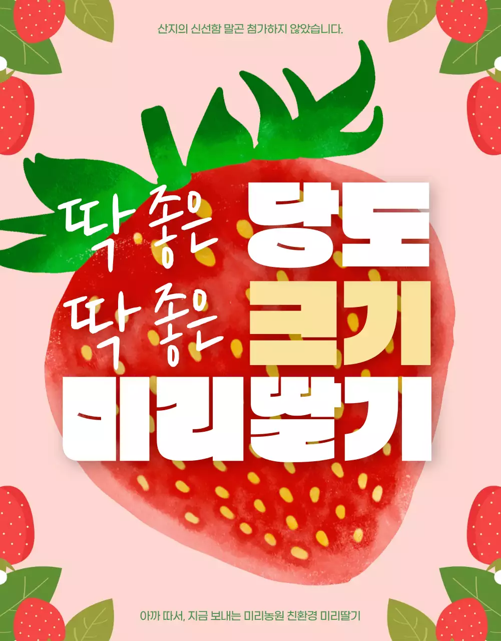 빨강의 아기자기한 딸기 홍보