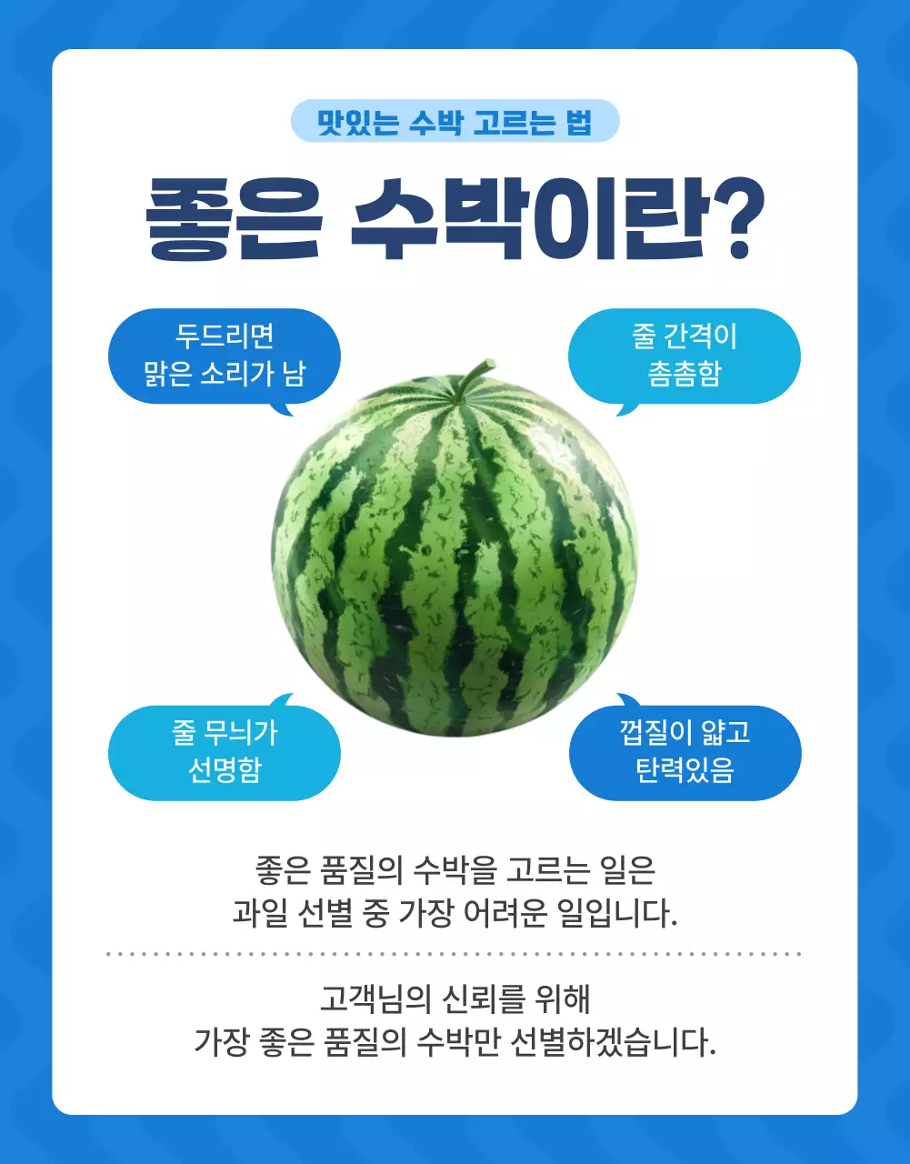 파랑과 흰색의 자연적인 여름 제철 과일 홍보