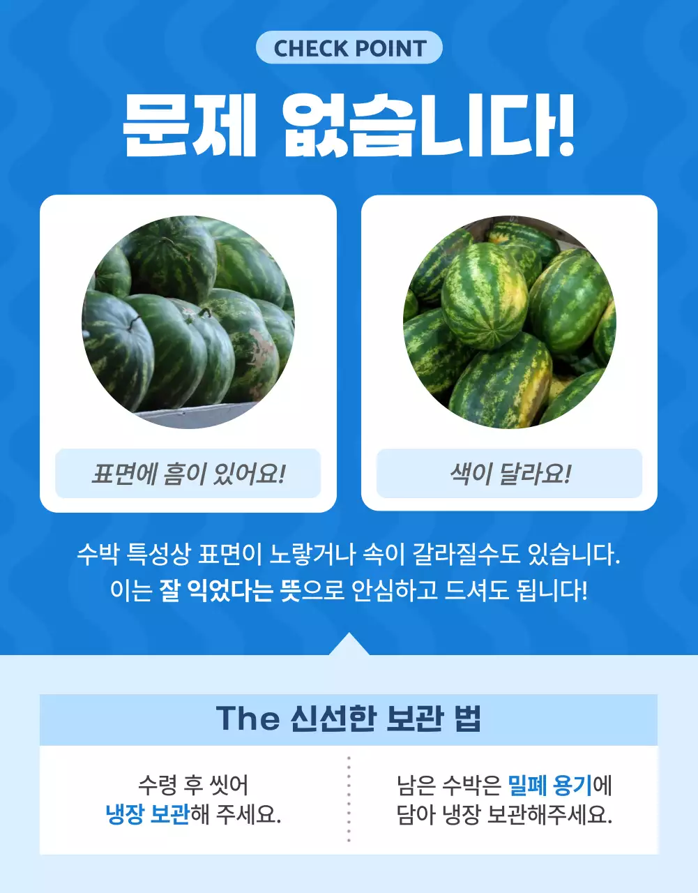 파랑과 흰색의 자연적인 여름 제철 과일 홍보