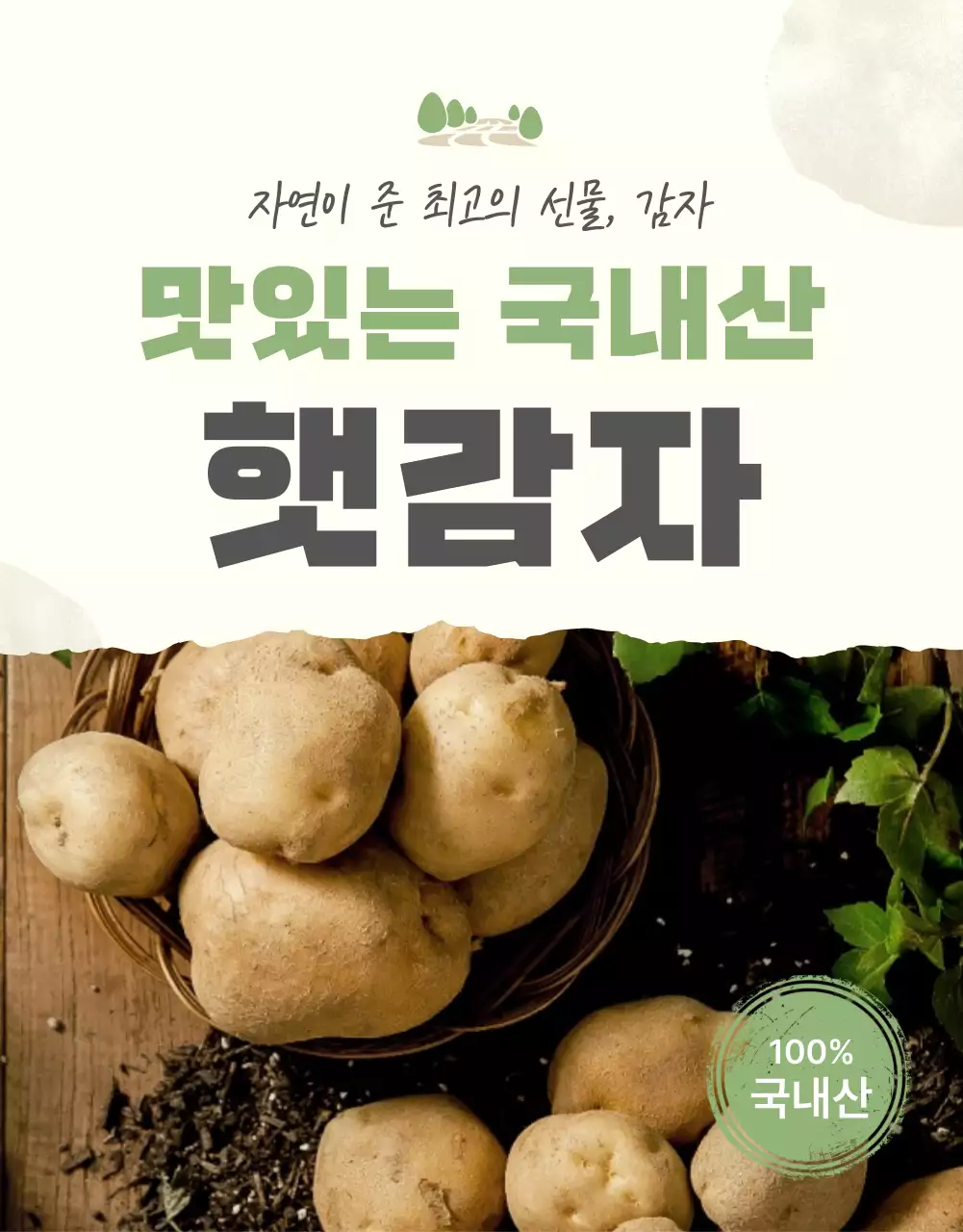 초록과 연두의 자연의 건강한 농산물 감자 판매 홍보