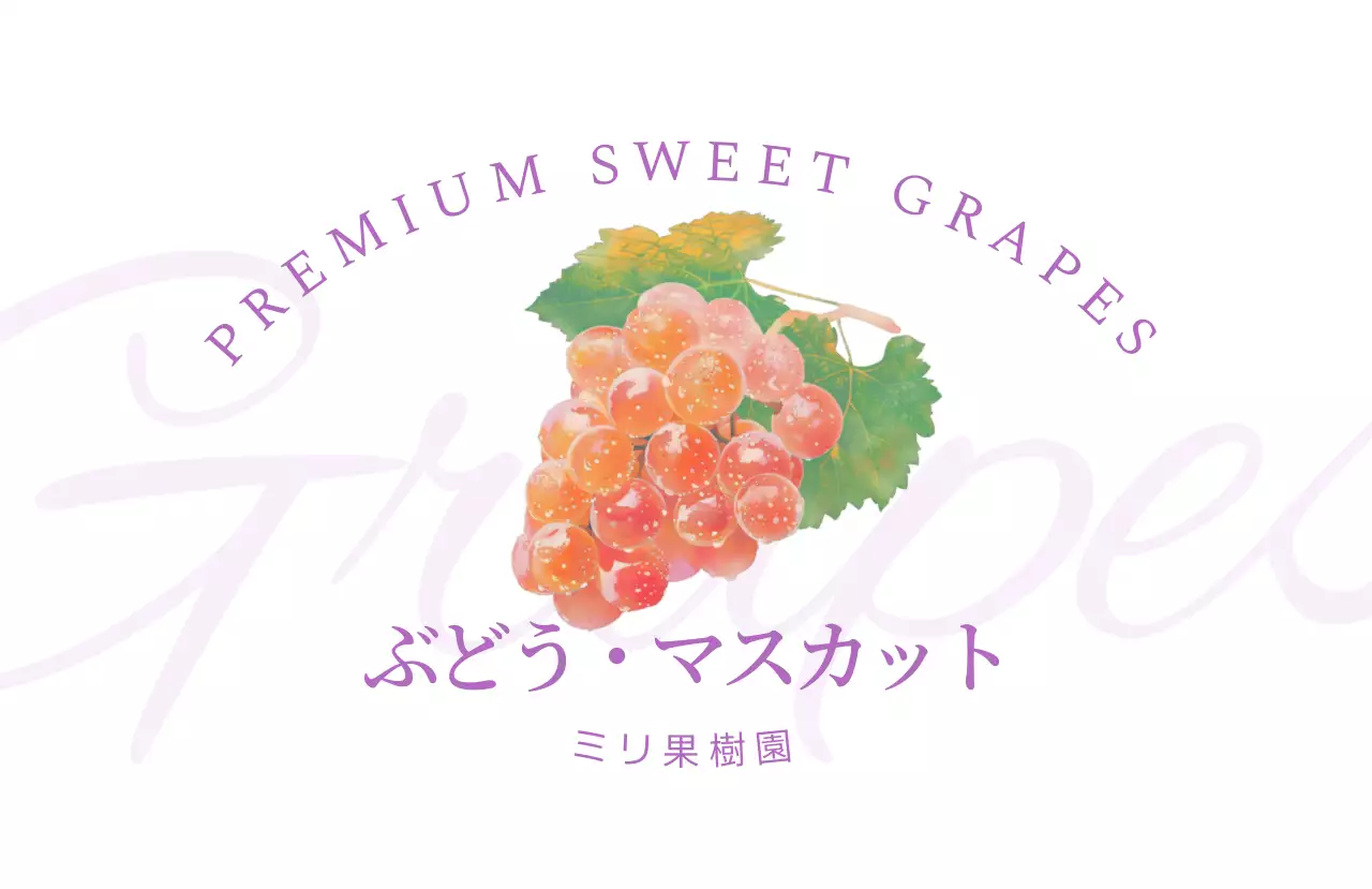 オレンジ シンプル フルーツ ラベル シリーズフルーツシンプル