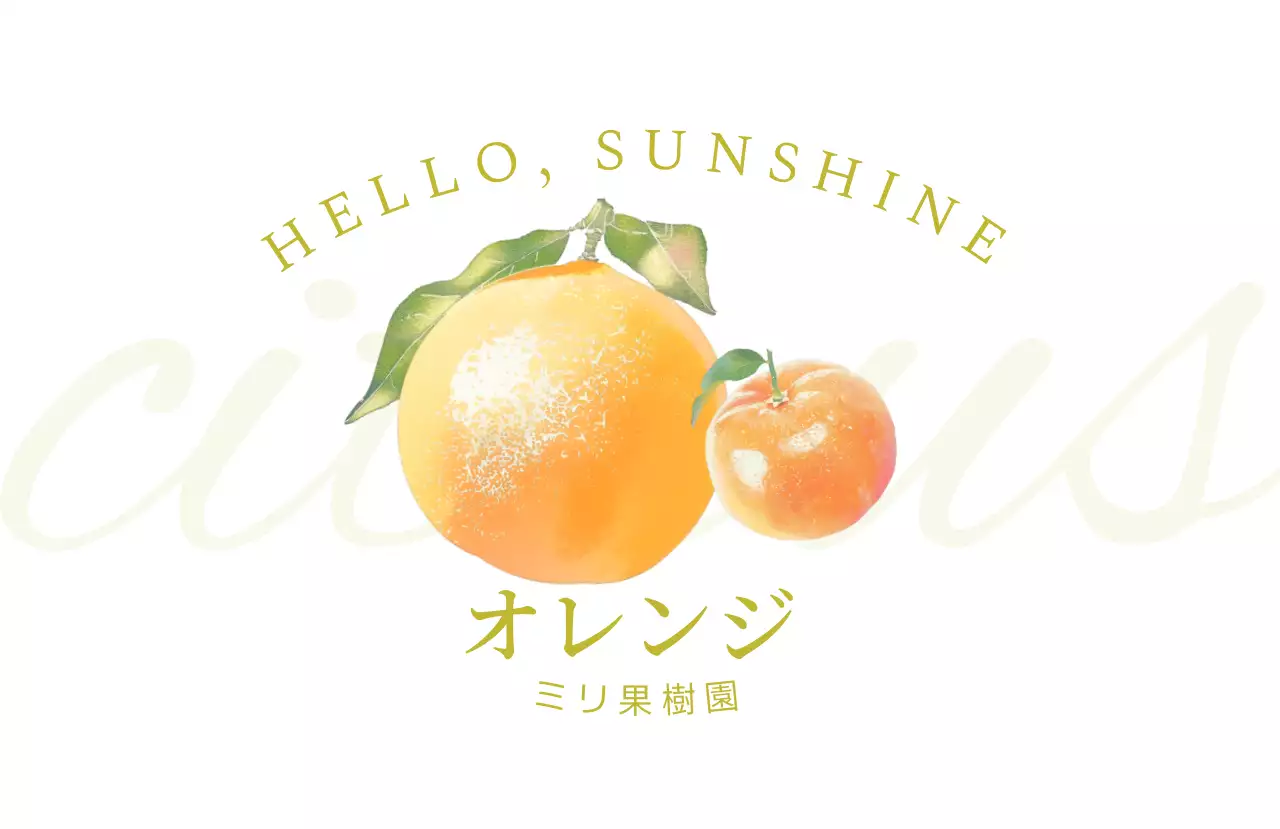 オレンジ シンプル フルーツ ラベル シリーズフルーツシンプル