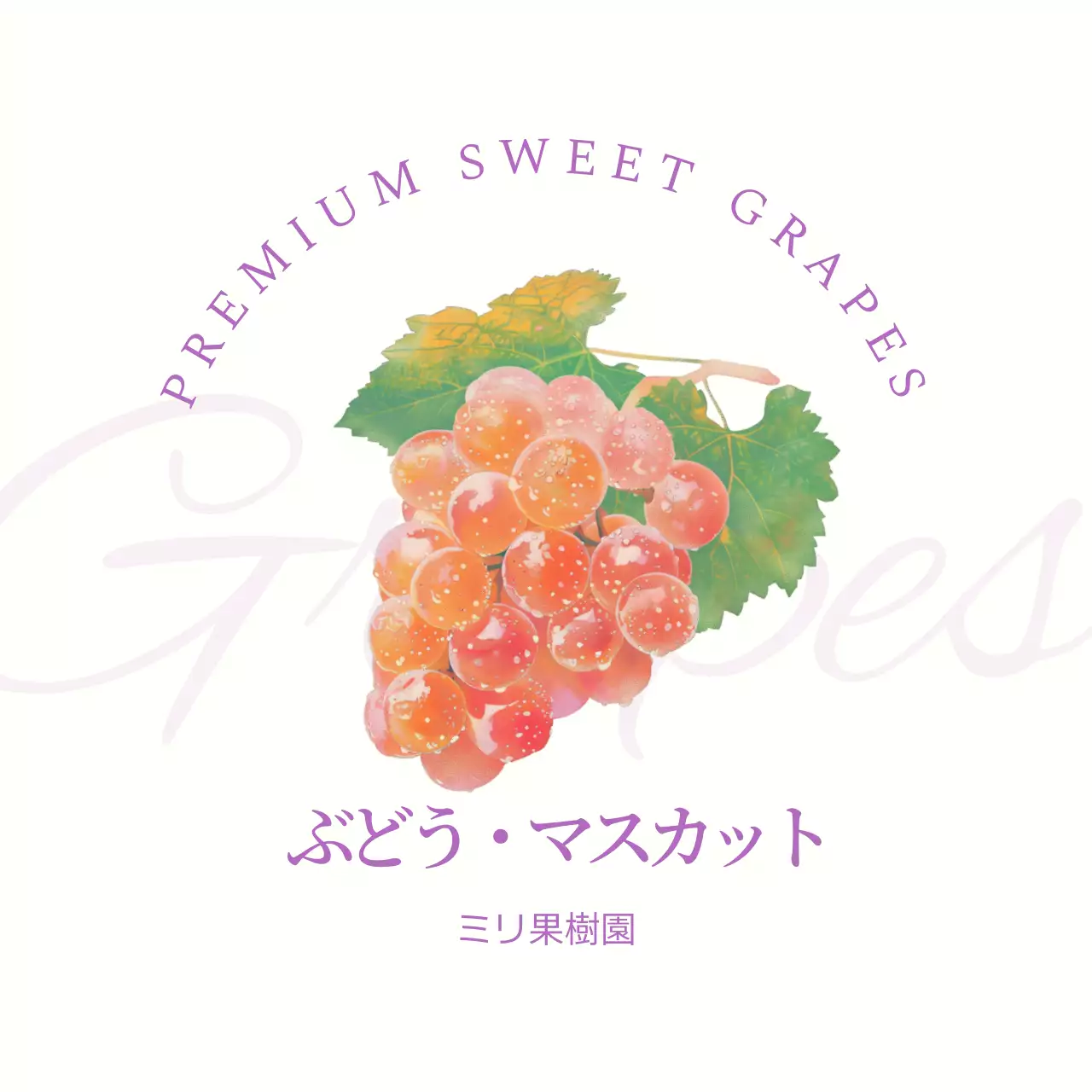 オレンジ シンプル フルーツ ラベル シリーズフルーツシンプル