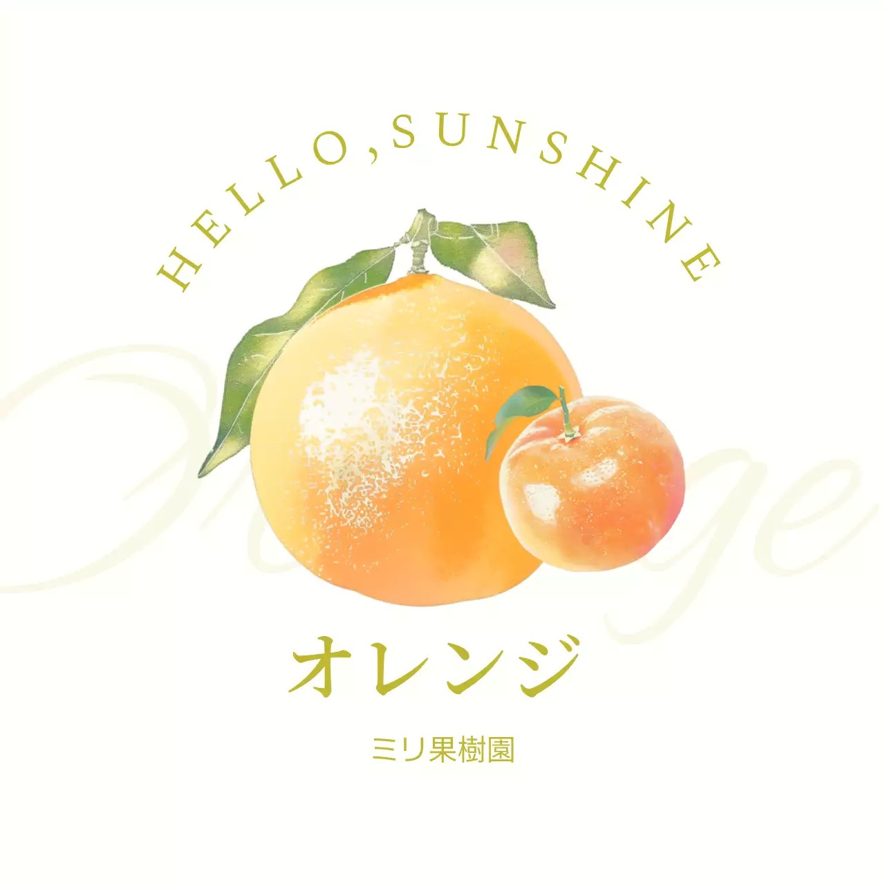 オレンジ シンプル フルーツ ラベル シリーズフルーツシンプル