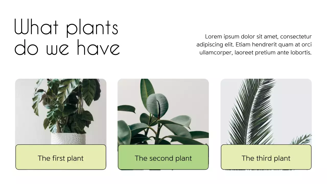 Green Elegant Flower Promotion Presentation