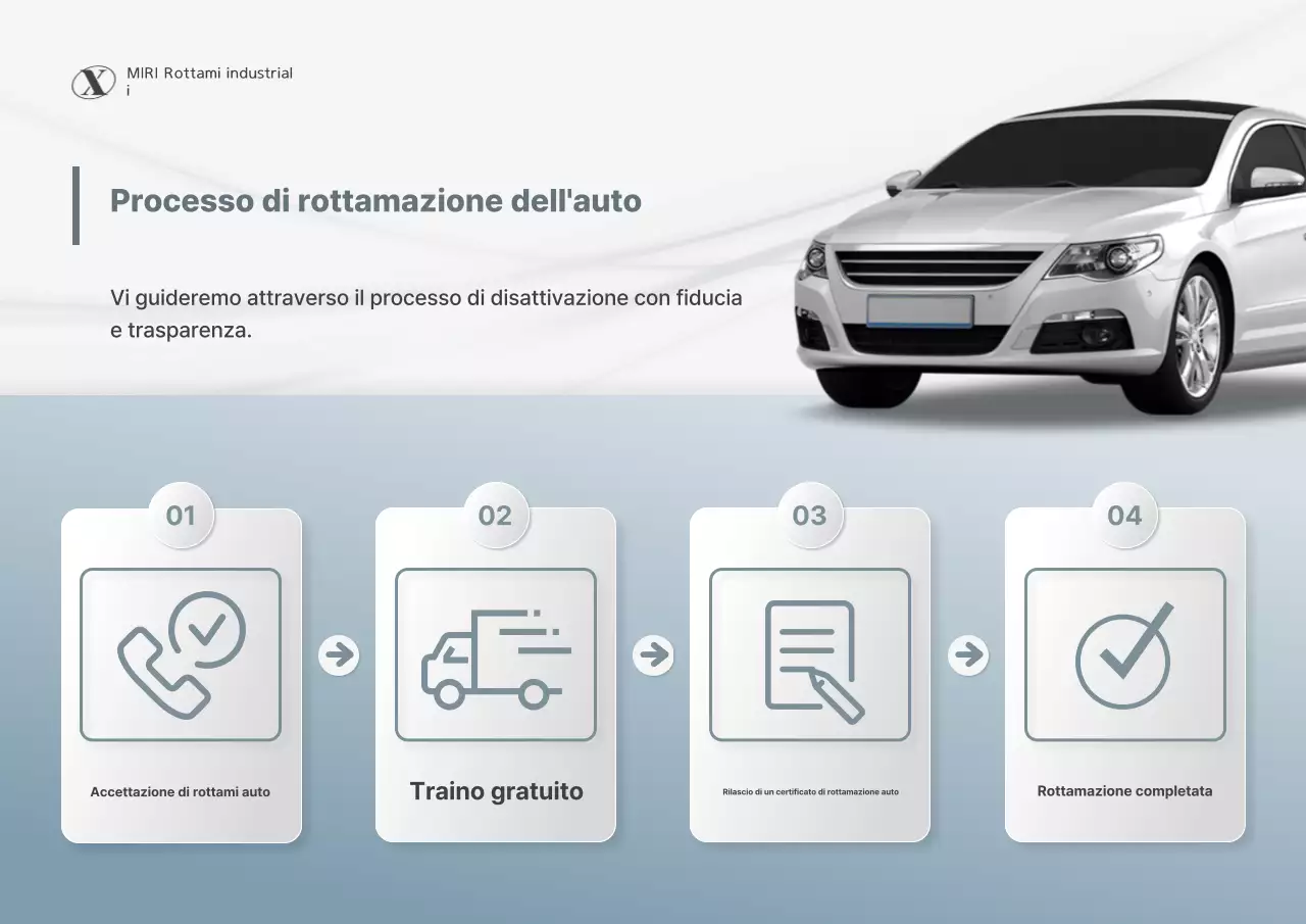 Guida al servizio di raschiatura dell'auto Gray Clean