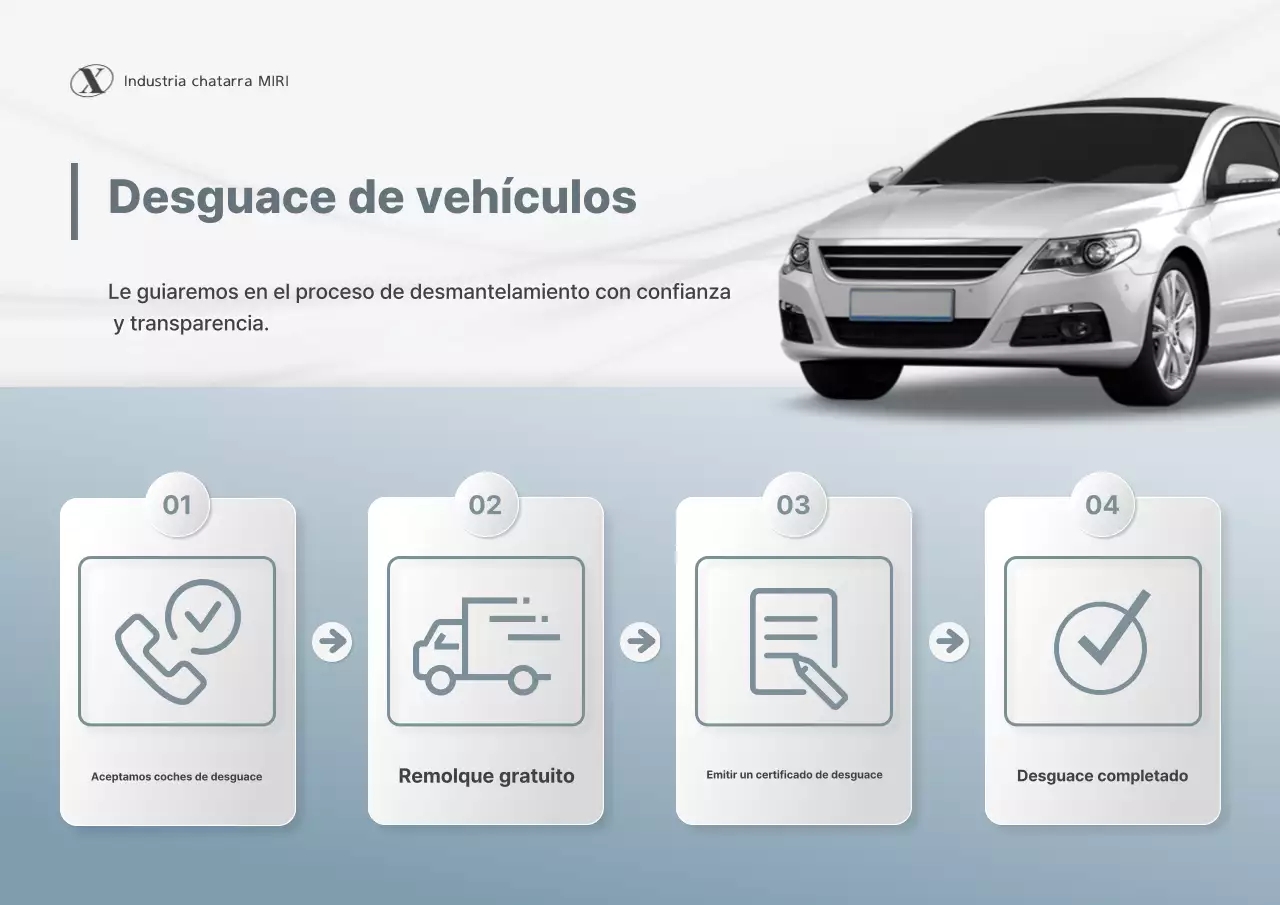 Promoción de la Guía de Servicios para el Procedimiento de Raspado de Autos con Limpieza Gris