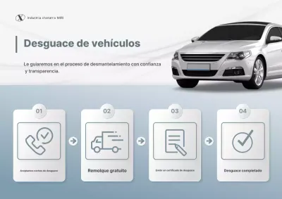 Promoción de la Guía de Servicios para el Procedimiento de Raspado de Autos con Limpieza Gris