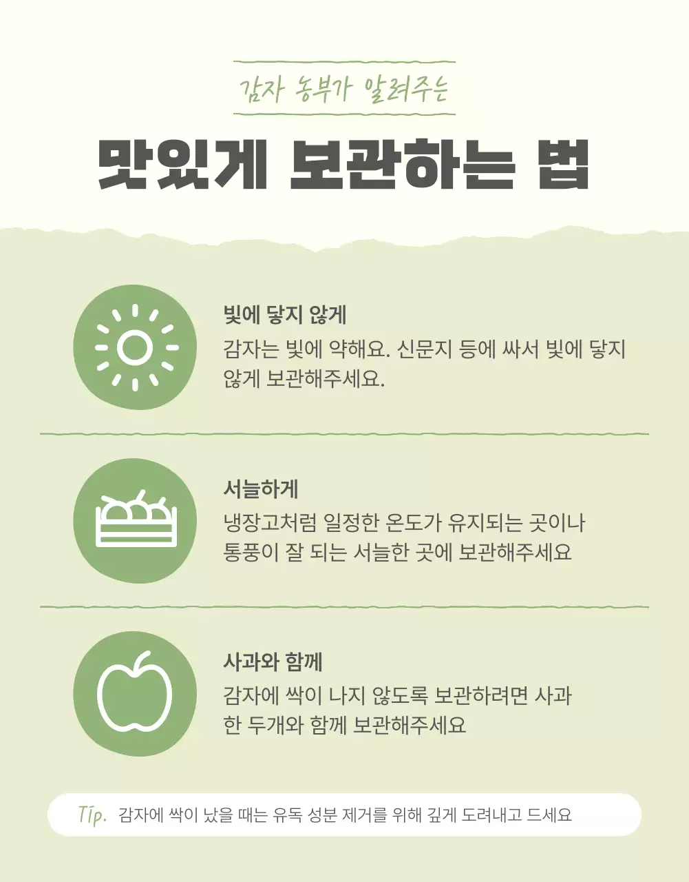 초록과 연두의 자연의 건강한 농산물 감자 안내 및 주의사항 홍보