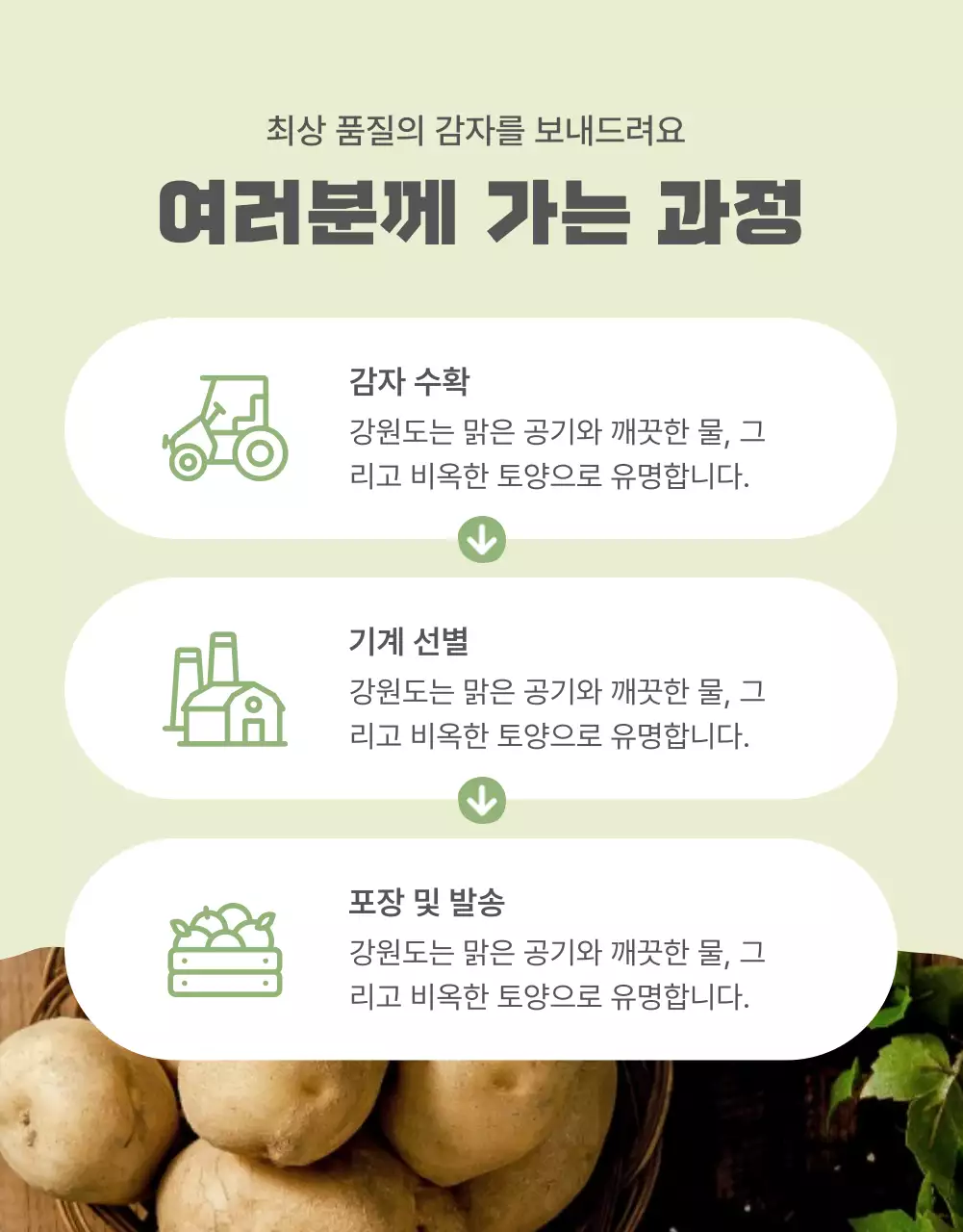 초록과 연두의 자연의 건강한 농산물 감자 안내 및 주의사항 홍보