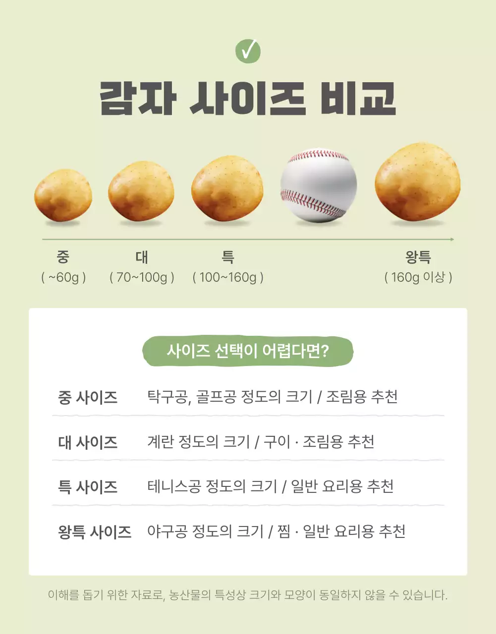초록과 연두의 자연의 건강한 농산물 감자 안내 및 주의사항 홍보