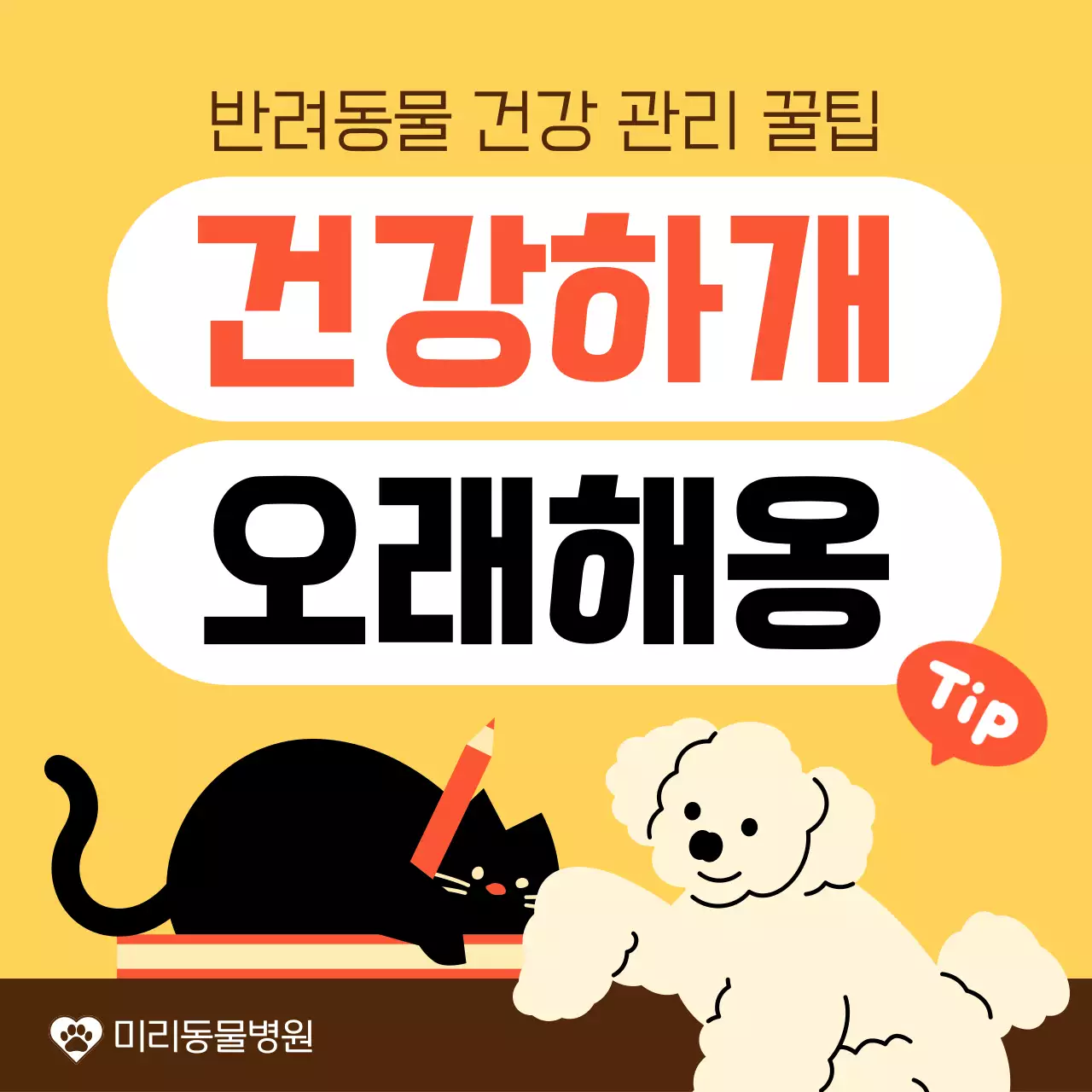 노랑과 주황색의 아기자기한 반려동물 건강 관리 안내서