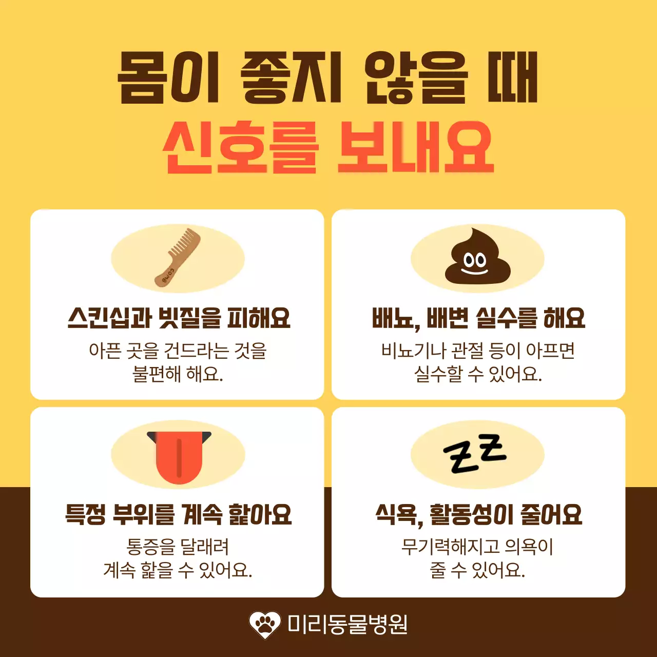 노랑과 주황색의 아기자기한 반려동물 건강 관리 안내서