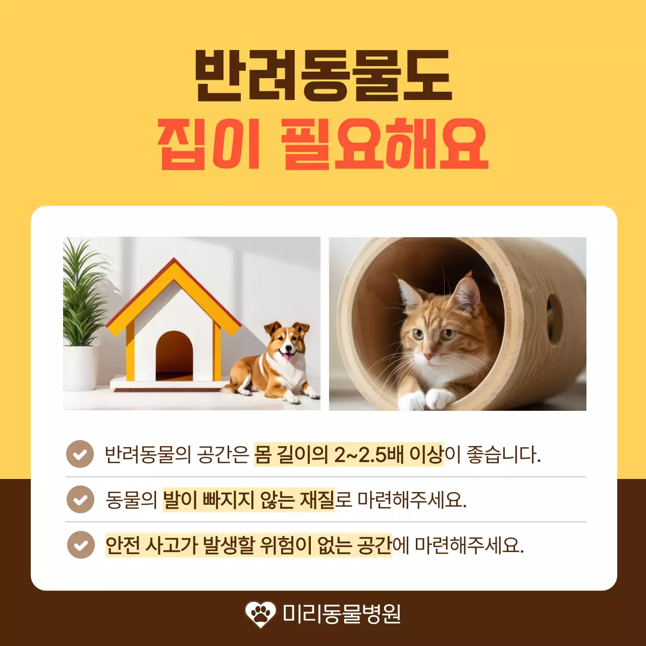 노랑과 주황색의 아기자기한 반려동물 건강 관리 안내서