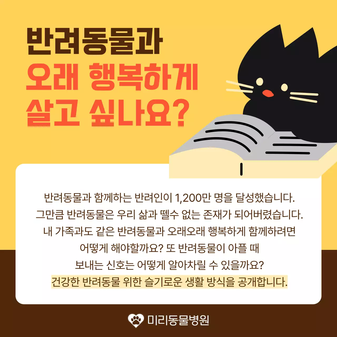 노랑과 주황색의 아기자기한 반려동물 건강 관리 안내서