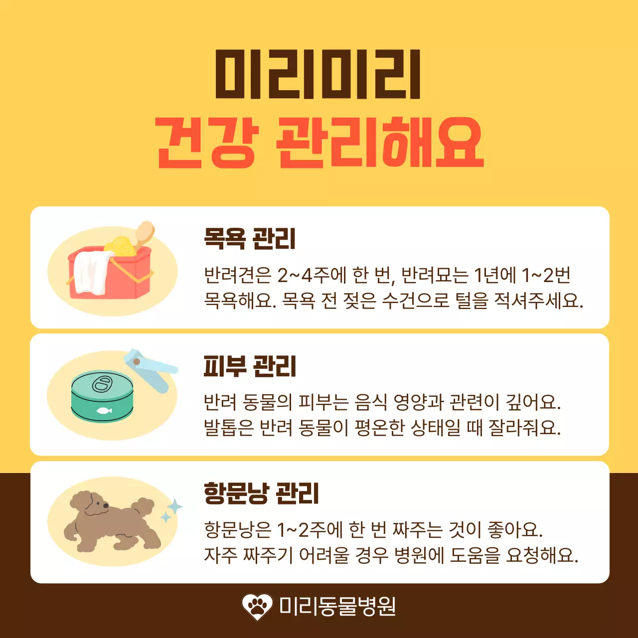 노랑과 주황색의 아기자기한 반려동물 건강 관리 안내서