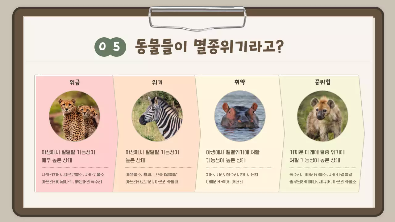 하늘색 보고서컨셉의 귀여운 사파리투어