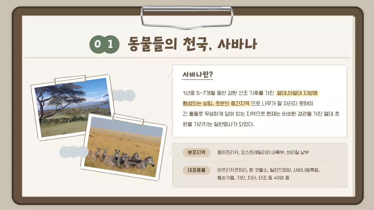 하늘색 보고서컨셉의 귀여운 사파리투어