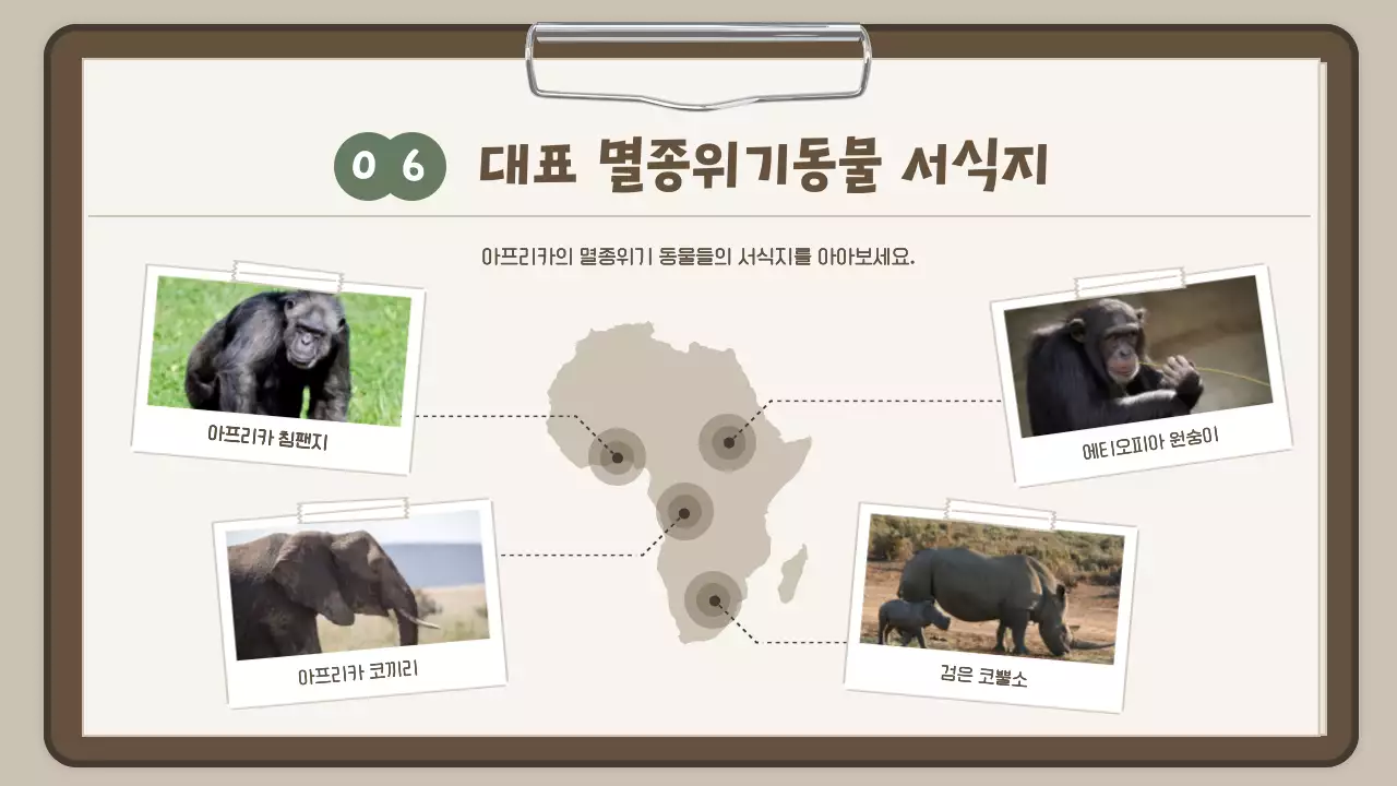 하늘색 보고서컨셉의 귀여운 사파리투어