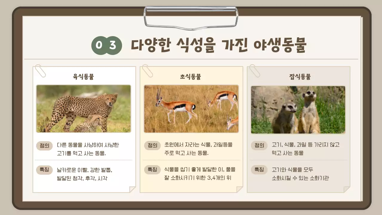 하늘색 보고서컨셉의 귀여운 사파리투어