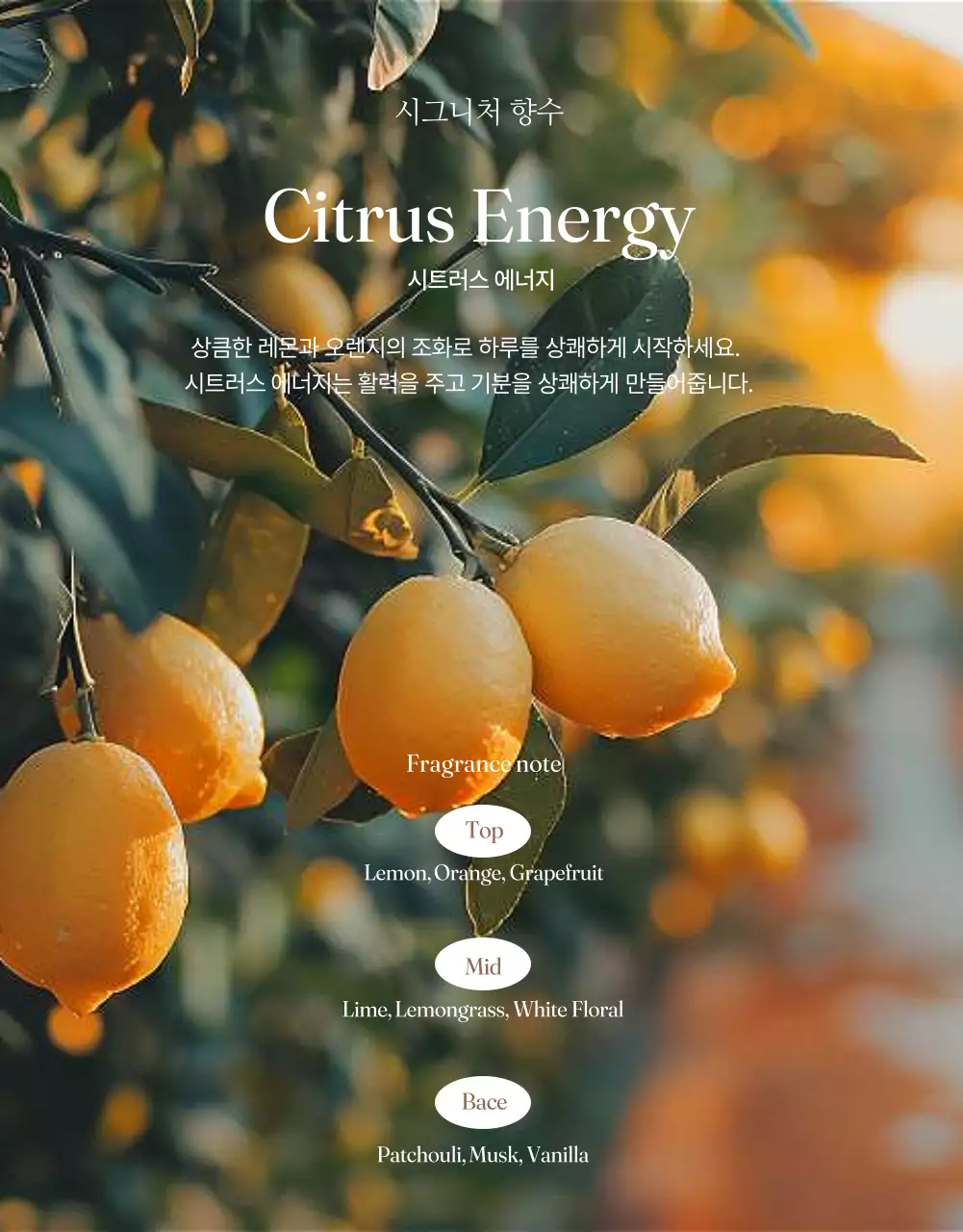 베이지 고급 향기 제품 홍보